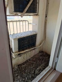 تنظيف شقة • بلوك B3 • ١٠٠م