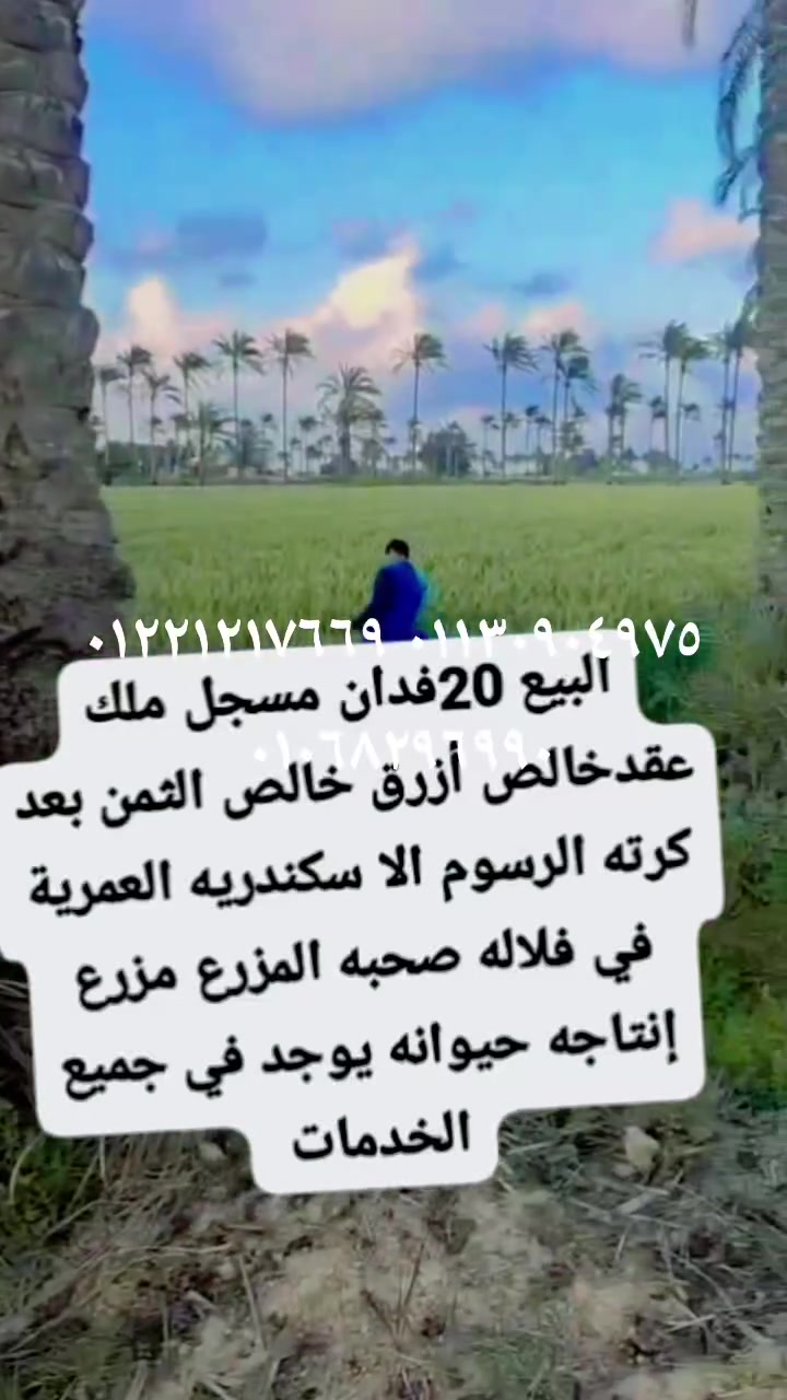 ٠١١٣٠٩٠٤٩٧٥ ٠١٢٢١٢١٧٦٦٩ ٠١٠٦٨٢٩٦٩٩٠


**إذا كنت صاحب هذا الإعلان وتريد حذفه لأي سبب، رجاءا أرسل رسالة إلى الدعم الفني**