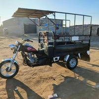 ستوته • شاصي ركبه شرط • بيجي