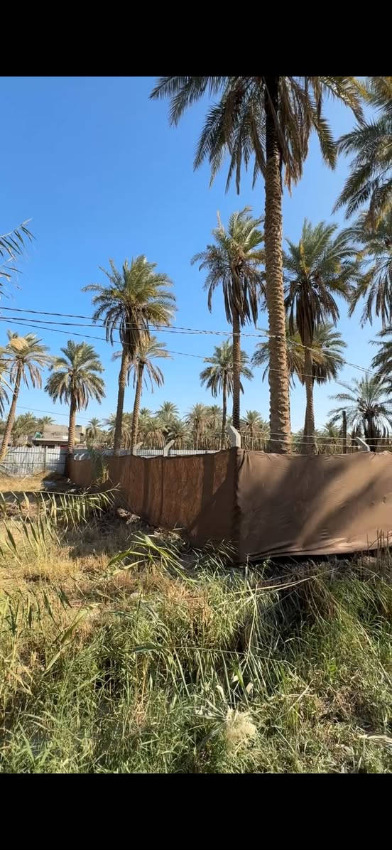 السلام عليكم 
 أرض للبيع المساحة 1000 متر  الواجهة 30  والباقي نزال ارض مربعة  طابو ملك صرف سند منفرد تصلح دار سكن او حسينية  تحويل اسهم وليس اقرار  ب اسم المشتري مباشر … كربلاء طريق فندق البارون شارع السيدة زينب منطقة الجرية قرب سوق الجرية  عامود 235 منطقة سكنية تبعد عن مركز المدينة 7 كيلو سعرها 130   للأستفسار اتصال 📱 أو واتساب … ***********
