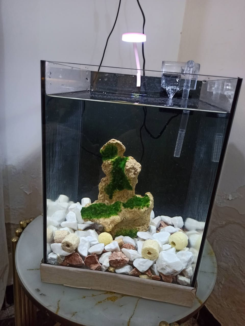 السلام عليكم شباب 
حوض مال سمج. النوع سوبرانتلكلير الجام الواضح 
العرض تقريباً 30سانتيم والرتفاع 35 الحوض متروك صارله هواي 
,كامل مع ملحقاته 
1 الماطور 2الشمعه 3الجبل الحجري 4حجر طبيعي5الاكل 6المعقمات 
 السعر خاص  
***********بي واتساب
