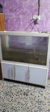 حوض سمك • حجم جبير • فلتر تصفية