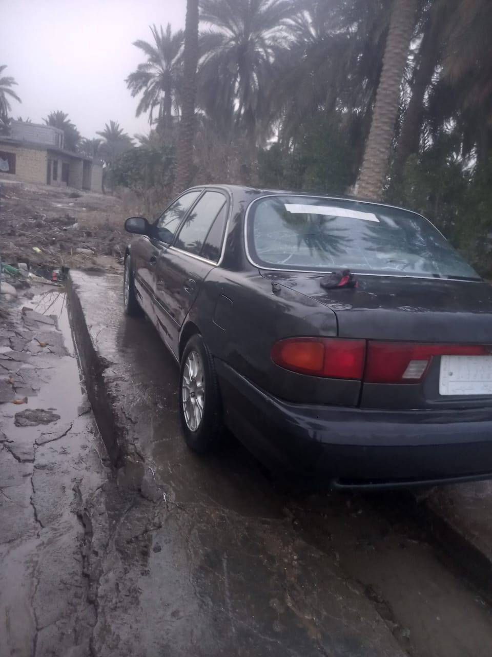 السلام عليكم ورحمة الله وبركاته 
🛑سوناتا تو 94 شغالة جاهزة 
 🛑مابيها نقص مسكر گير عادي 
 🛑سنوية ضايعة وبلاغ مكمل تشتري مداور 🛑شرط رقمها كربلاء 

***********
