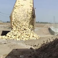 اللهم صل على محمد وآل محمد معمل الجياشي مختوم درجه اولى قوه قالب قياسا...