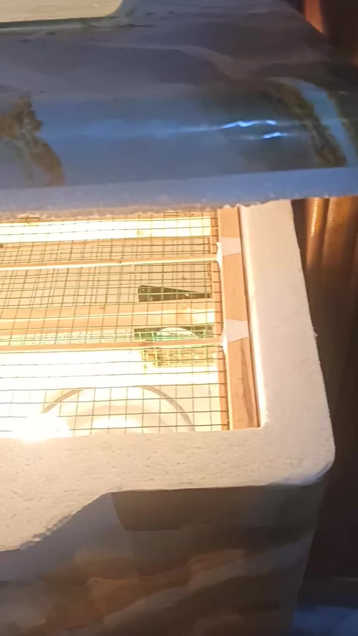 فقاسه للبيع


**إذا كنت صاحب هذا الإعلان وتريد حذفه لأي سبب، رجاءا أرسل رسالة إلى الدعم الفني**