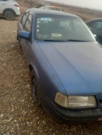 فيكترا • معمرة • بغداد تاجيات