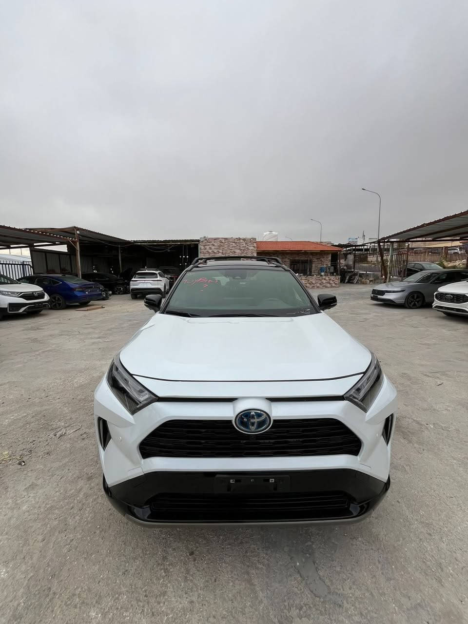 السلام عليكم 

تويوتا راف فور فئه XSE اعلى صنف سياره 

الضرر بدون قطرة صبغ تبديل جاملغ وبنيد نفس لون 
بلاديات نفس لون  كشرها بدون اي قطرة صبغ باذن الله  
 
ماشيه 18 الف 

مواصفات

بصمات 

بنوراما

توكلر

مودات قياده

شاشه دجتل -

صندوك كهرباء

كامرات محيطيه 360 درجه 4كامرات

كشن ذاكره خزن ميموري

شحن لاسلكي

ستيرن تدفئه

تشغيل عن بعد

لايت زنون led 

قطعتين تبريد

سياره مكان الاردن الحره 

تحب ادخلها بغداد او بكتاب شهداء انت براحتك تريدها بل اردن ودخلها انت هم بكيفك تدخل باسم مشتري كبل 

سياره سيارتي شخصيه صار عدي ضرف ونويت ابيع لي تفيده سياره اني حاضر حتى تصليحها بلادي صلحته ايرباك رجعته سليم ستتم 

صارت رصعه بخشم شاصي صغيره +رصعه براس شاصي صغار حيل رجعتهن بارد بدون قطرة صبغ وشي جداً بسيط

وكشر سياره بدون اي صبغ 

سياره سعرها 215 بل اردن سياره  مكلفتني اكثر   بس اريد ابيع  وبيه مجال شويه شراي لي تعجبه اني حاضر

***********

وبالتوفيق ان شاءالله لي يريد يشتريها
