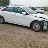 ٢٠٢٤ • ١٧الف • رقم بابل