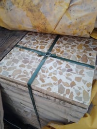 كاشي • 50م • الزاب