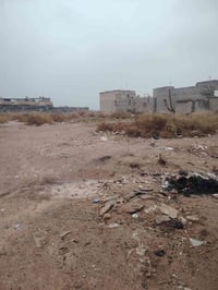 البصرة أبو الخصيب • ١١٠٠م • طابو زراعي