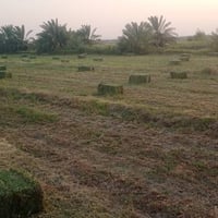 كبسات جت • ١٠٠ قطعة • سيد احمد الرفاعي