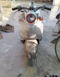 زنبور • نضيف • جديد