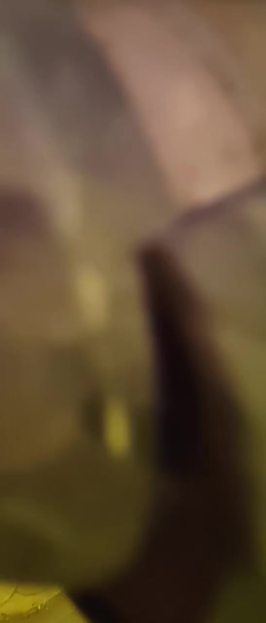 سلام عليكم درجة سكنس جبلي بعدهة جديدهة صالهة ٣ أشهر من مطلعهة من الرمبة 🔩ما مفتوح بيهة السعر خاص العنوان ميسان منطقة العرضات الرقم ***********
