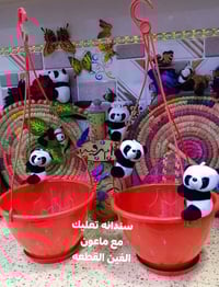 سنادين • اكسسوارات نباتات • توصيل كل المحافظات