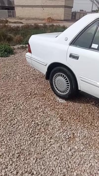 راس الثور • ٢٠٠٠ • كربلاء