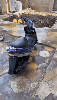 ماكس منغولي اقل شهر من نازله نضافه مفوله صوتها ماينسمع تجي تشوف تكلب و...