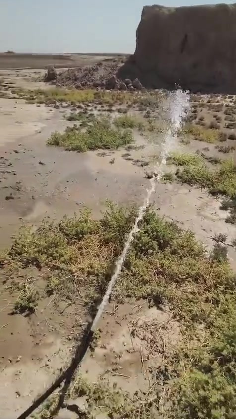 السلام عليكم قطعتين طبك 
على ٤٠٠ 
وعلى شارعين يعني كل ٤٠٠ على شارع مايقل عن ١٠ متار 
قرب شركة نفط ذي قار 
سعر ال ١٥ تريد ٢٠٠ هم ترهم 
يبعدن عن شارع العام ١٥٠ متر 
يرجى الاتصال *********** يوجد واتساب 
ماسنجر ماجاوب الشراي يتصل
