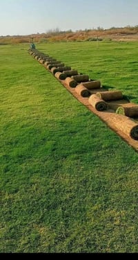 ثيل طبيعي • ديالى • توصيل