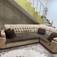 تخم تزگام اصلي  للبيع 3.5م  07817103688