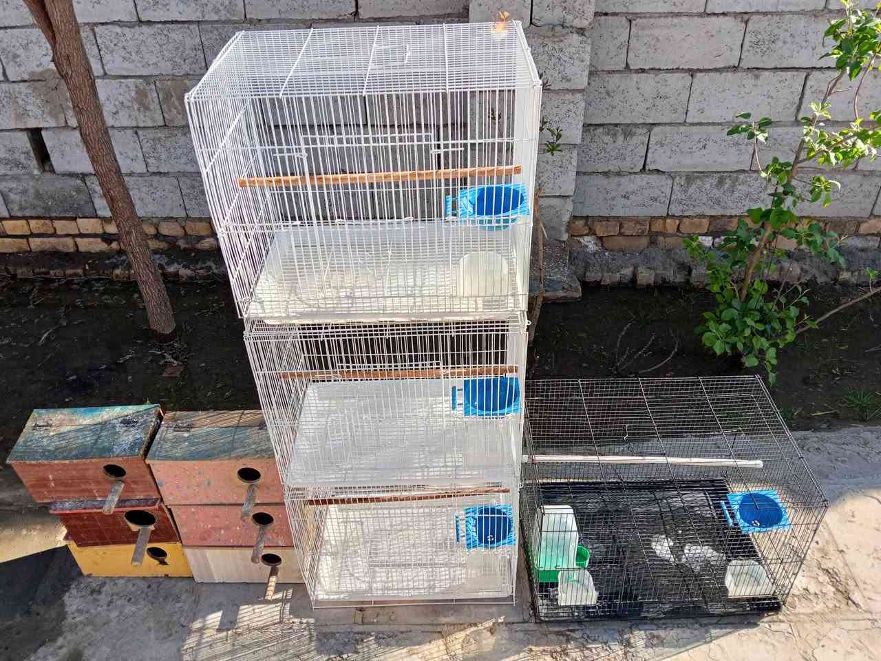 متاح اربع خانات مع ست بيوت الخانات البيض استعمال شهر السعر خاص


**إذا كنت صاحب هذا الإعلان وتريد حذفه لأي سبب، رجاءا أرسل رسالة إلى الدعم الفني**