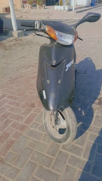 عصفورية ياباني • الدورة • ١٧٥