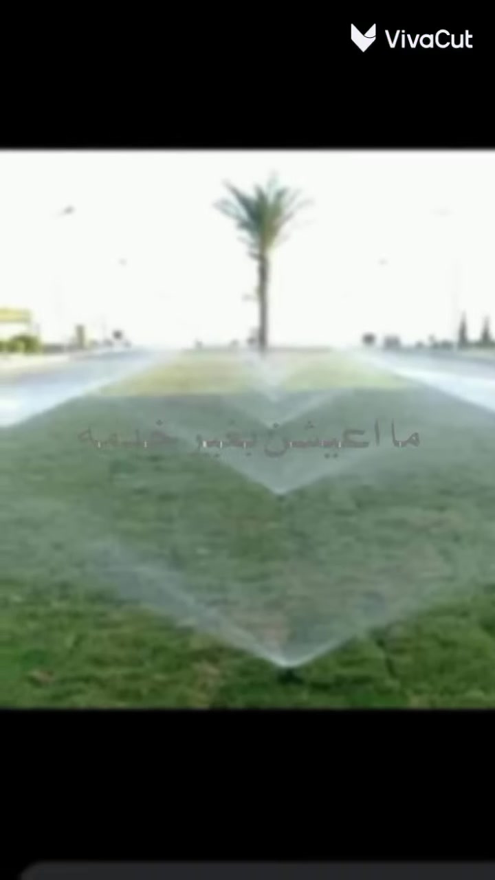 يوجد كافة انواع ثيل الطبيعي #***********#
