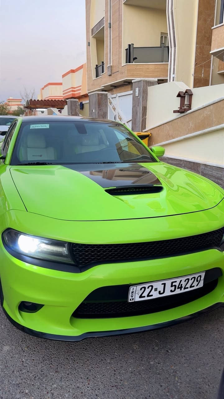 جارجر خليجي هارلم موديل 19 جيتي فتحة(سلايد )
ماشية78 رقم اربيل الجديد هزة جديدة سيارة ما ناقصهه شي كفالة فقط بارد مأشر بصور سعرها260$ مكانهه البصرة ***********
