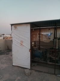 مولده • ١٠٠ أمبير • كركوك