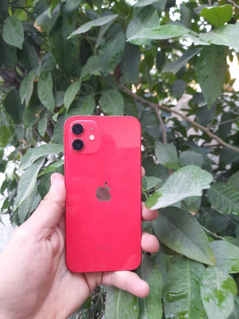 السلام عليكم
‏iPhone 12
لون احمر ❤️
الذاكرة العملاقه 256 من النوادر تلكه بل 12 عادي 256 
بطاريه 86‎%‎
نموذج m
النضافه 100‎%‎
الجهاز وتر ممفتوح ولا داخل صيانه 
وين متريد افحص 
سماعه ✅ فيس ايدي✅ شبكة انترنت✅ سيمكارت ✅ كامرات ✅
الجهاز من كلشي مكفول وكلش حلو واستخدامه يخبل 
السعر 400 وبي مجال 
والي ميعجبه السعر او يكول غالي لايعلق سكب للمنشور 
كلشي موجود بلسوك 
مكاني بغداد حي الاعلام 
*********** موجود واتساب 
اسف ع اطاله
