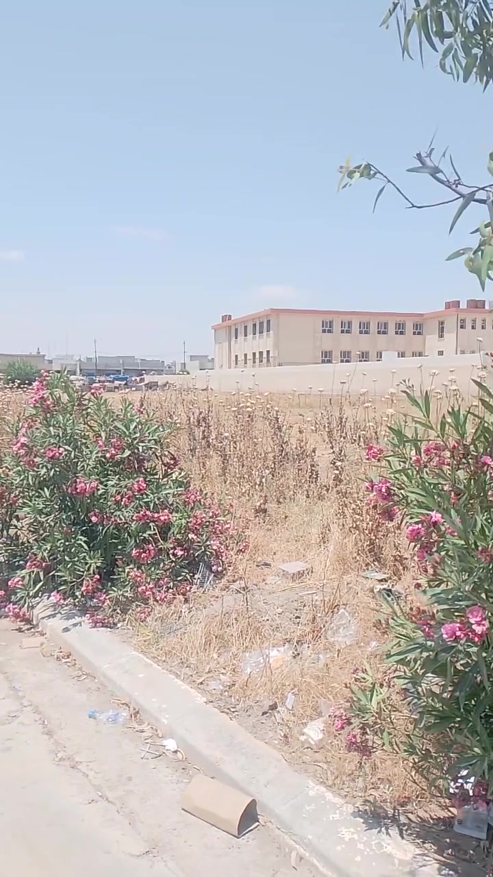 عرررض 🔥 الدار للبيع المساحه 125جمعبه الماء مجاور حي التحرير بيها اسواق يعني سكن وشغل بنفس الوقت انتا وكاعد بلبيت تشتقل عرررض عرررض والكوكو هديه للستفسار ***********واتس اب
