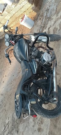 بدون اوراق • مكفوله • كهربايات