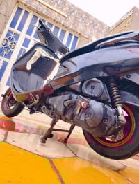 فراشة • نضيفة • الحمزة الشرقي