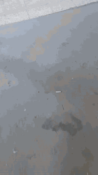 محل للايجار بغداد الجديدةخلف عمارة الكبيسي وسط السوق 07700778922 موقع ...