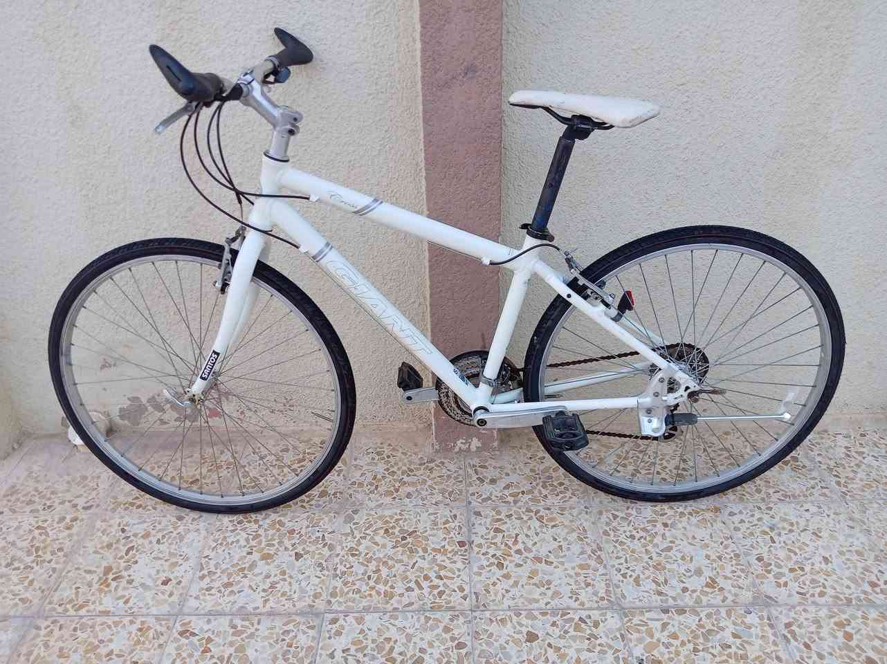 السلام عليكم
دراجه ماركة #GIANT جيانت
ماركه غنيه عن التعريف 
حجم 28 (C700)
معدن المنيوم فريم  S
سستم شيمانو آلتوس 7×3
بريكات تيكترو
زوج تايرات جدد
قطعه مال حاوية مامستخدمه

#السـعر 130 الف
#مكاني_موصل_جانب_الايسر
#متوفر_توصيل_محافظات


**إذا كنت صاحب هذا الإعلان وتريد حذفه لأي سبب، رجاءا أرسل رسالة إلى الدعم الفني**