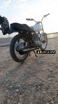 مراوس • مطلوب