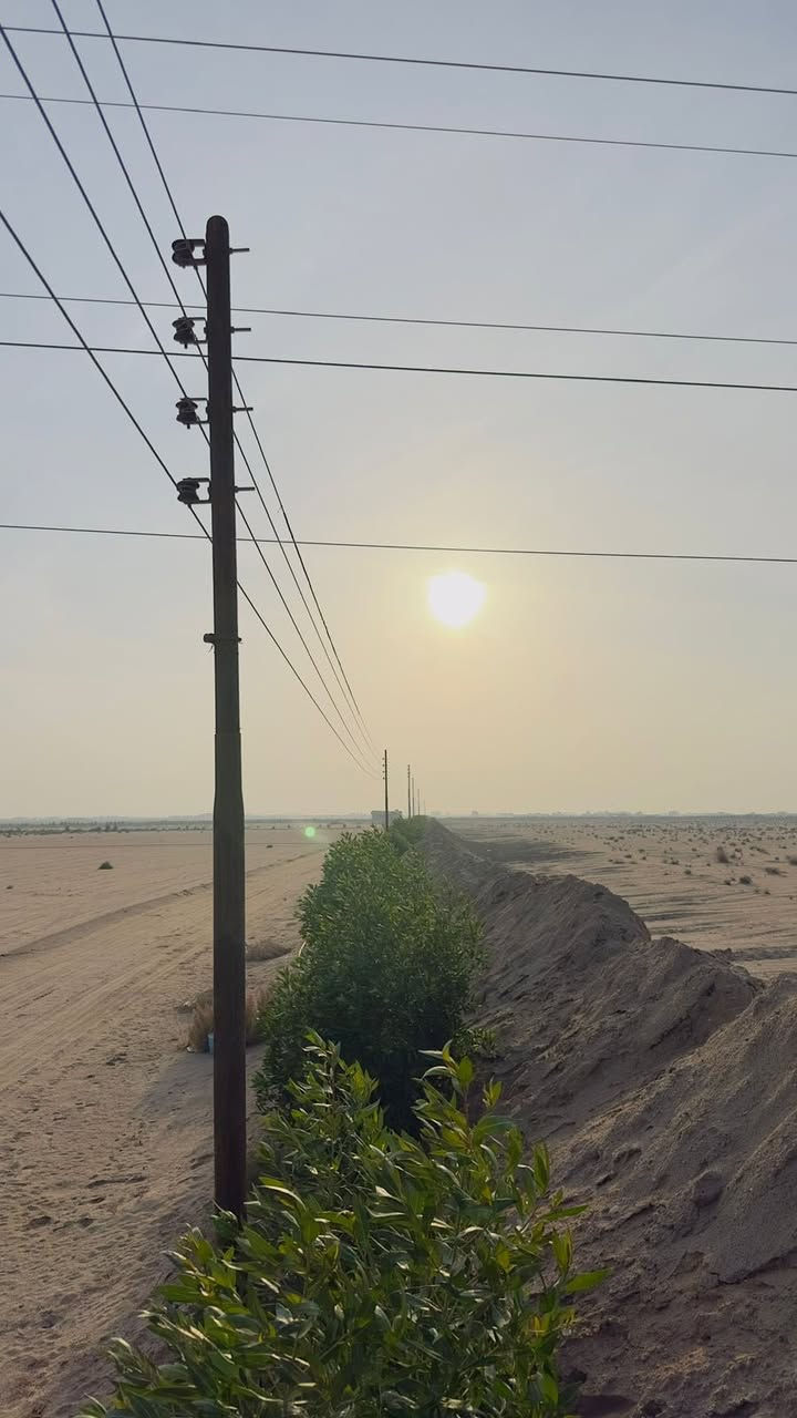 السلام عليكم
مزرعه للبيع 26دونم مسيجه بأشجار بيها بيت وكهرباء وطنيه وبير ارتواز عقدها قيد الانجاز عنوانها طريق الزبير نزلتها قرب معمل بلوك ديالى المزرعه تبعد 2 كيلو عن شارع الزبير السعر65 وبيها مجال

مكلف بالنشر انا

راعي المزرعه  ‭0770 670 7388‬
