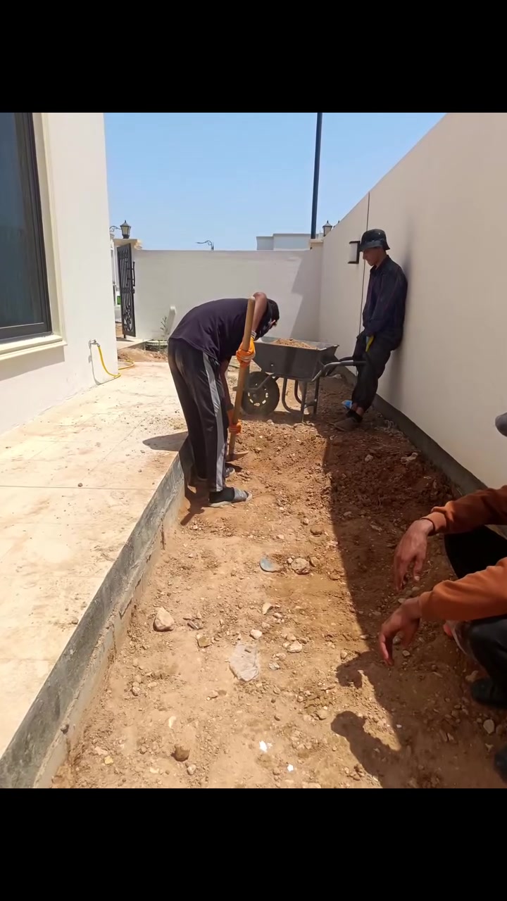 يالله سلام عليكم نشتغل كافه الحدايق داخل المجمعات وخارج كادر كامل حفر الحدايق وتدخيل التراب ورفع النقاذ وشرط تراب السده درجه اولى

***********
***********

لسنا الوحيدين لكننا الأفضل
