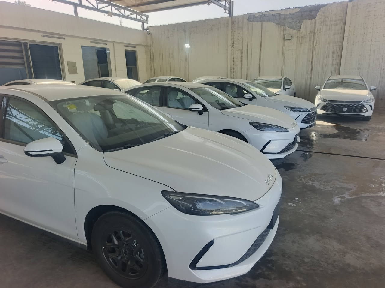 سلام عليكم يتوفرلدينا انسب الاسعار جمله ومفرد زيرو 2025 للاستفسار الاتصال على الرقم التالي***********//***********
