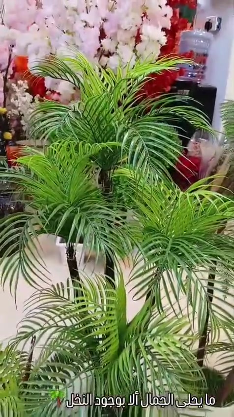 يتوفر بجميع الارتفاعات والاشكال مجمع تاج هوم للمواد المنزلية


**إذا كنت صاحب هذا الإعلان وتريد حذفه لأي سبب، رجاءا أرسل رسالة إلى الدعم الفني**