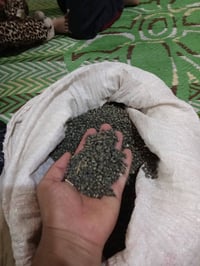 يوجد الدينه بزر بانيه درجه وله  البيع سعر تصال عل رقم  07870606981