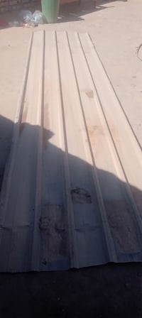 جينكو • عدد ٢ • ١٥م