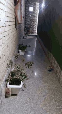 سلام عليكم 
بيت خلفي مساحه ١٠٠ متر 
بناء حديث طابوك العنوان الفداء شارع ابو لبنان فرع صيدليه بدور مقاطعة ٢٢
رقم ٤٦٤ 
رقم الهاتف ***********
