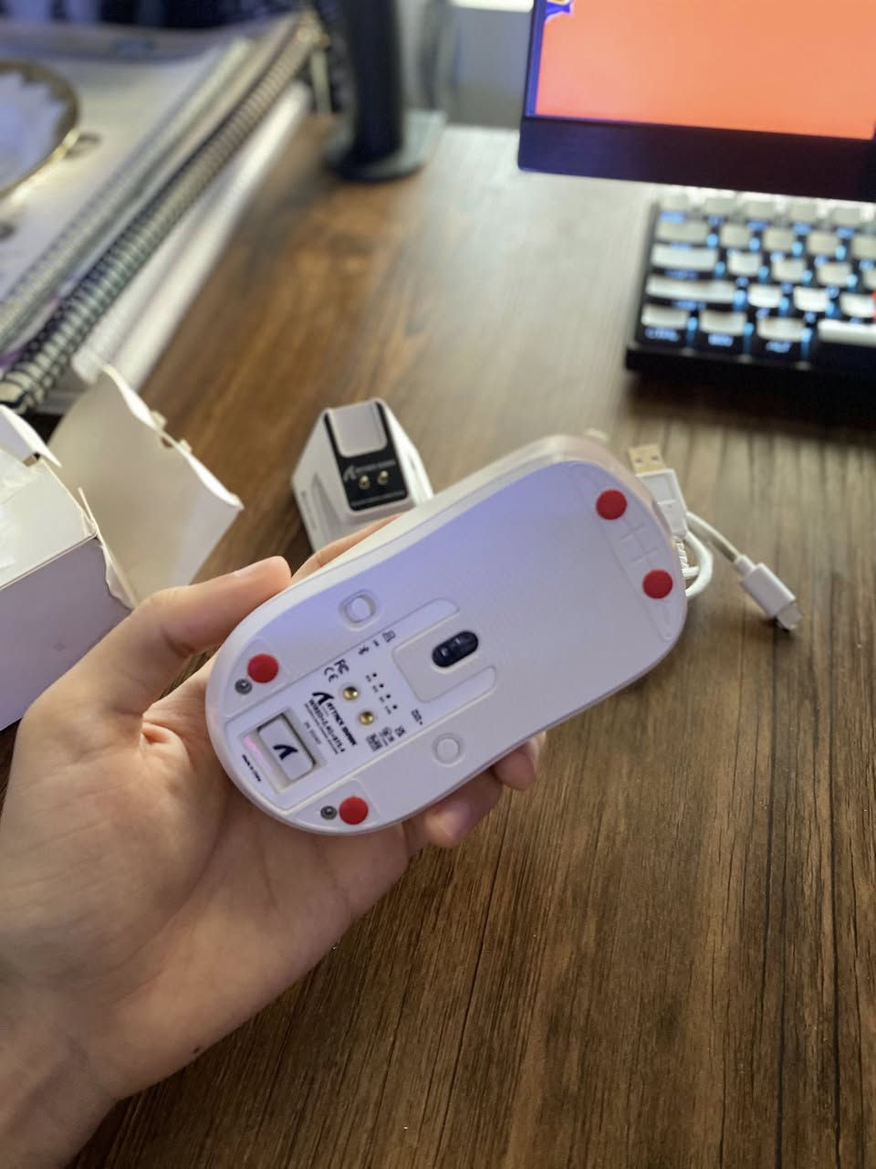 ماوس للبيع 

1- Superlight g pro x wireless 

جميع ملحقات الماوس وكارتونتة موجودات مستخدم نظيف جدا (استخدام شهر) + معدل عليه الـskates العادية مالتة شايلها وحاط عليه اوبسيدن سكيتس الي تعتبر افضل سعرة 75 الف 

2- attackshark x6

جميع محلقاتة والكارتونة كذلك موجودة مستخدم نظيف، نفس التعديل على الـskates سعرة 30 الف


**إذا كنت صاحب هذا الإعلان وتريد حذفه لأي سبب، رجاءا أرسل رسالة إلى الدعم الفني**