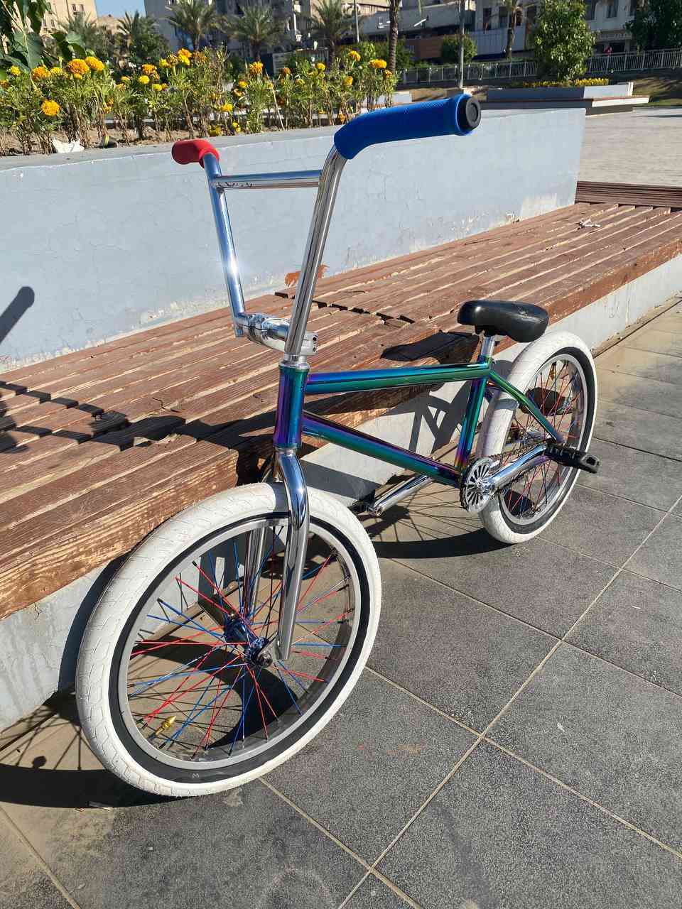 للبيع bmx  نفس ما شوفون قطعه نادرة تخبل عليه غراض يخبلن
تفاصيل 
طواكه شادو 
طوبه امامي شادو 
طوبه الخلفي أوتو شادو
ركبه ساندي 
سكان أربع قطع استيل 
كفات كولت 
ذراعات شادو 
قرص مدرع شادو
سرج.كولت 
حمالات شادو استيل 
ماشه كولت 
كل قطع لي ذكرتهم مختمات 

👇👇
بغداد بلديات ***********
