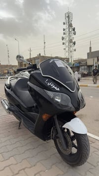 فورزه • ماشية 31 • ماكو نقص