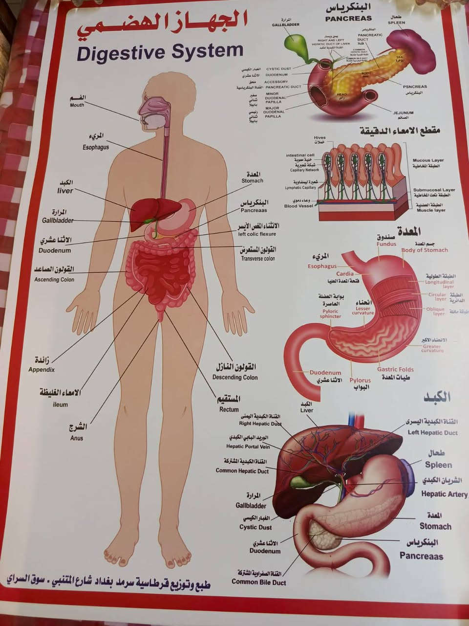 #الجميع


**إذا كنت صاحب هذا الإعلان وتريد حذفه لأي سبب، رجاءا أرسل رسالة إلى الدعم الفني**