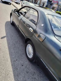 زيتوني • رقم نجف • مكفولة