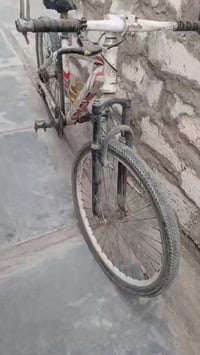 عجلة • بالعافية • بدون سعر