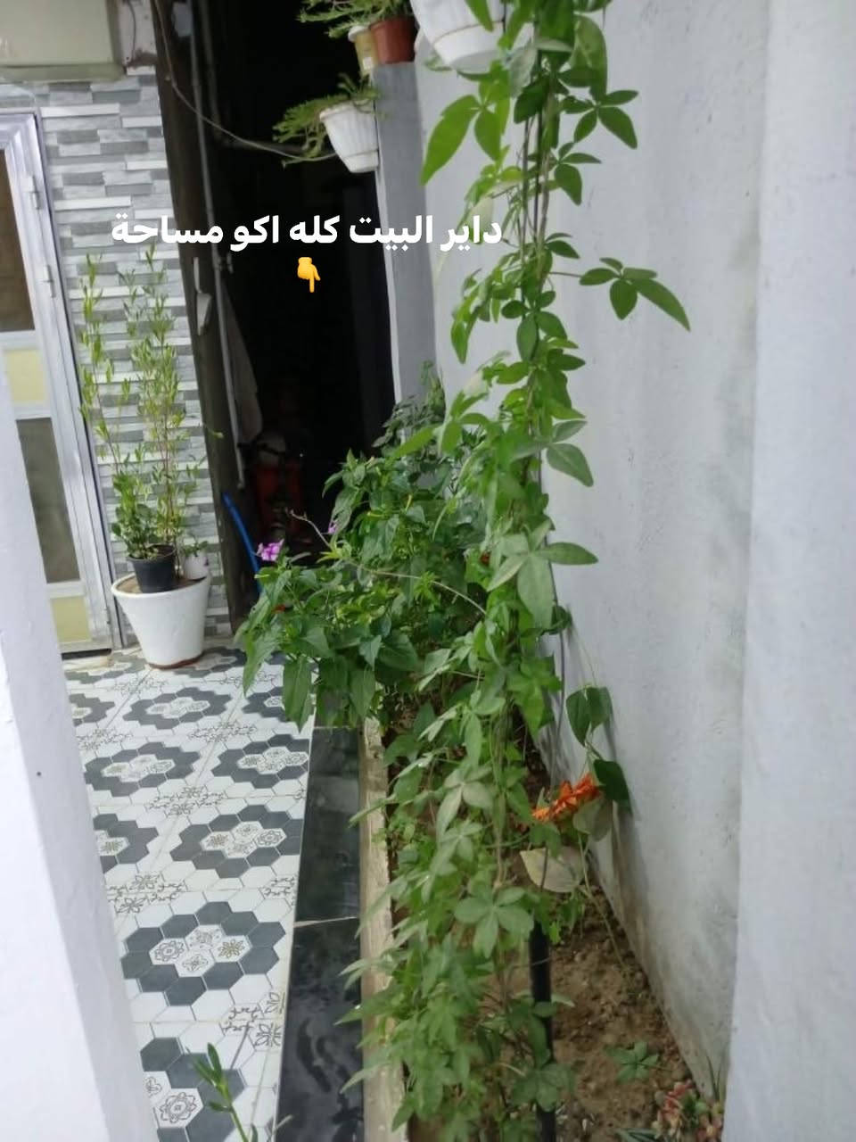 (صلو على محمد وال محمد )دار للبيع مساحة ٢٠٠ طابو زراعي سند ٢٥ صب كونكريت طابقين 4غرف  كاملات  يتكون الطابق الارضي  من غرف نوم وصاله وهول ومطبخ وصحيات داخليه وخارجيه وطارمة كبيره  والطابق الثاني ٣ غرف وهول كبير لبيت حديث و بناء درجة اولى مكان نزلت سعد بيجو بلبدايه واله طريق ثاني من ثيلة  يبعد عن شارع العام  50متر او اقل تدخل سياره للباب قريب ع مدارس وسوك بنص الولايه  للاستفسار اتصال  ***********
