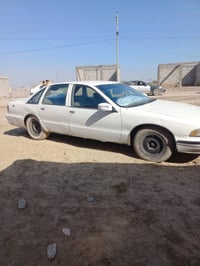 دولفين ل البيع رقم انبار الماني سنويه ما ساقطه  ل الاستفسار الاتصال عل...